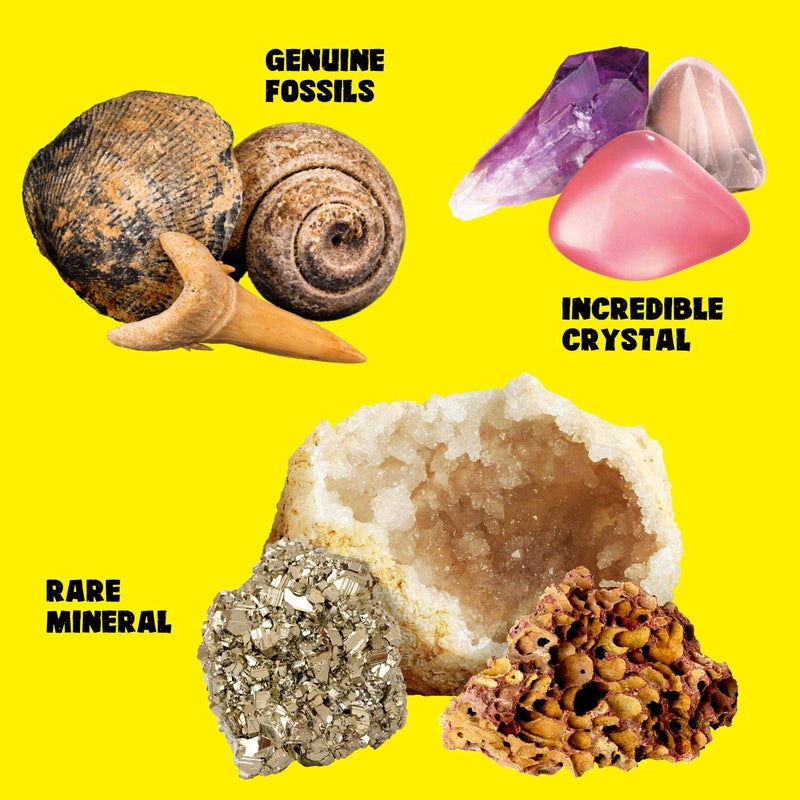 XX Rocks Minerals & Fossils Collection for Kids 250+ Real Gemstones and Crystals Rock Identification Kit Includes Display Case, Genuine Fossils, Geodes Great Geology, Science Gift for Boys & Girls - Image 3